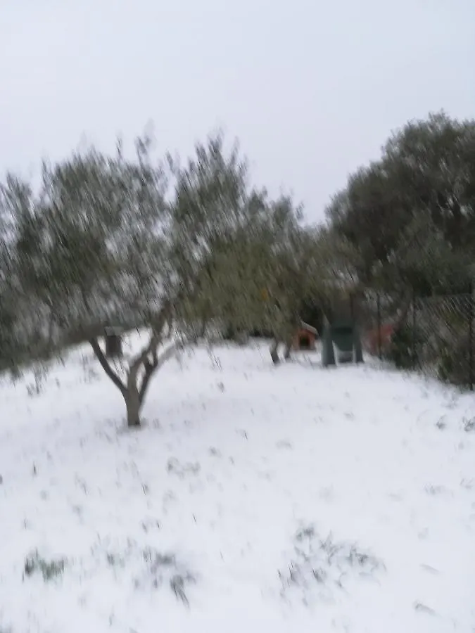 La Casa Di Lele Villa Costarainera
