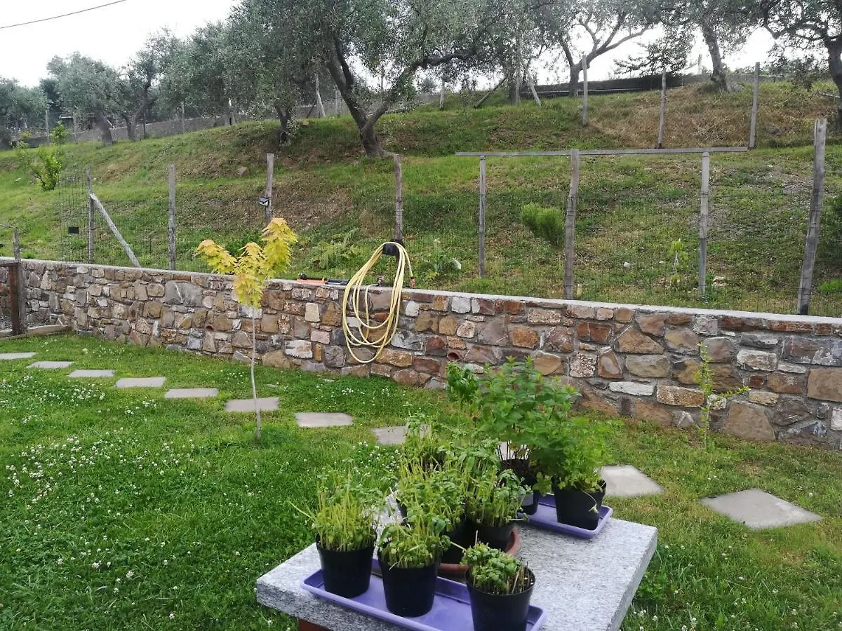 La Casa Di Lele Villa Costarainera Italy