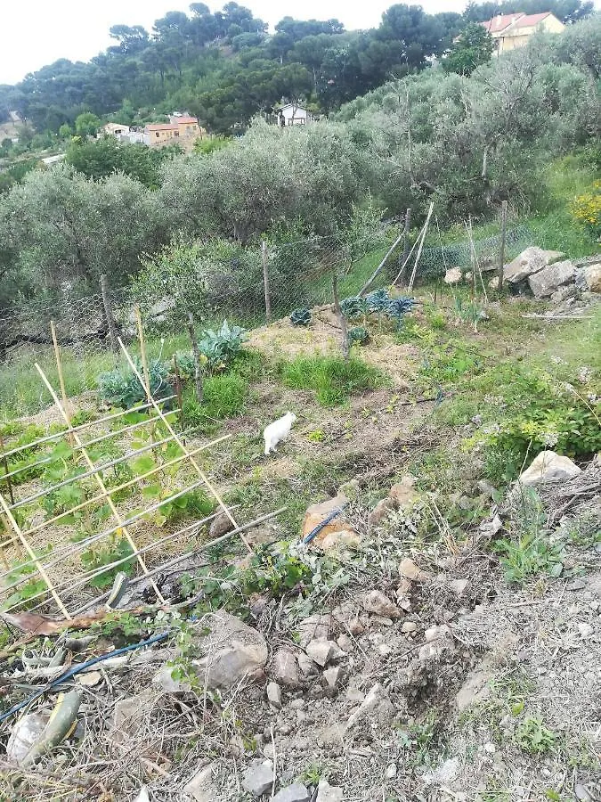 La Casa Di Lele Villa Costarainera