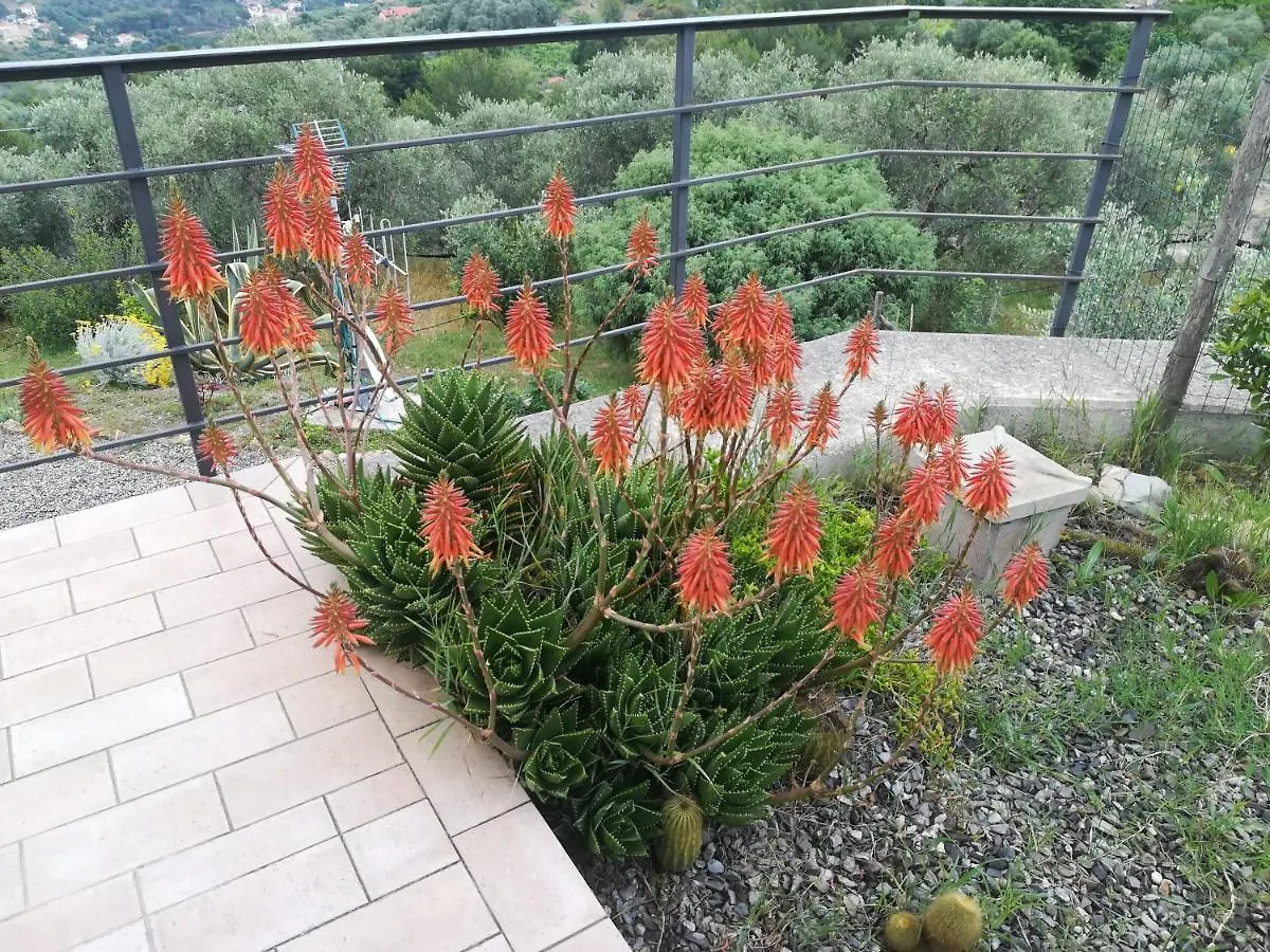 La Casa Di Lele Villa Costarainera